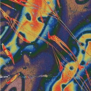 Meet your Posher, Cortni